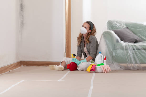 Reliable Commercial Mold Remediation contractor in Iselin, NJ by Car Mold Remediation